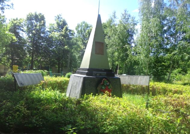 Памятник погибшим воинам. село Бронский Ватрас.
