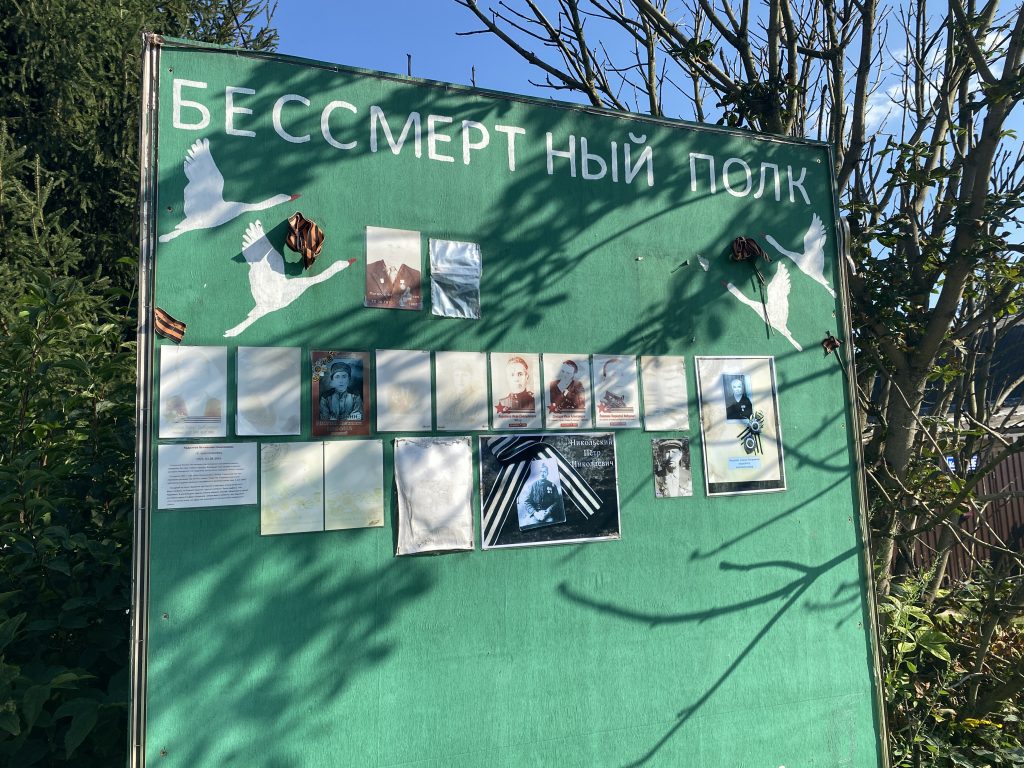 бессмертный полк деревня Костино. 